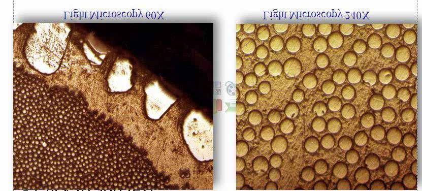 Microscopic view of FRP at 90x and 340x magnification